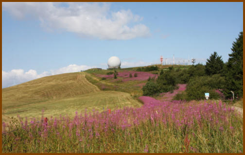 Blick auf den Gipfel der Wasserkuppe